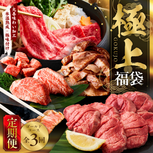 極上福袋 定期便 ゴールドコース 全3回【5種 食べ比べ 牛肉 ステーキ 牛タン 焼肉 しゃぶしゃぶ すき焼き 氷温熟成×極味付け 毎月配送コース】 mrzZ030 2434785 - 大阪府泉佐野市