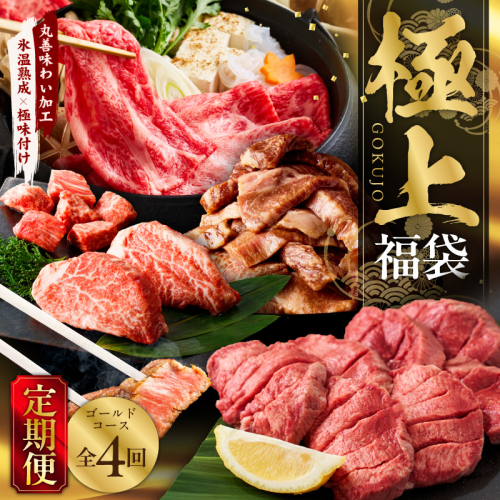 極上福袋 定期便 ゴールドコース 全4回【5種 食べ比べ 牛肉 ステーキ 牛タン 焼肉 しゃぶしゃぶ すき焼き 氷温熟成×極味付け 毎月配送コース】 mrzZ031 2434786 - 大阪府泉佐野市