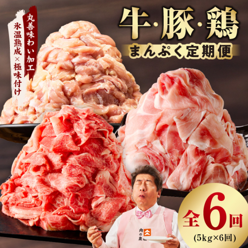 国産 牛肉＆豚肉＆鶏肉 まんぷく 定期便 5kg×6回【氷温熟成×極味付け 3種 食べ比べ 普段使い 味付き 小分け 訳あり サイズ不揃い 】 mrzZ032 2434787 - 大阪府泉佐野市