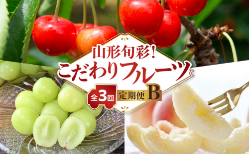 【発送月固定】山形旬彩！こだわりフルーツ定期便全３回Ｂ 063-T02 2434789 - 山形県大江町