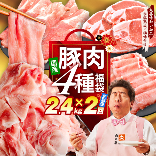 国産豚肉 4種 定期便 2.4kg×2回【氷温熟成×極味付け 小分け 300gパック ぶたにく 普段使い 野菜炒め 切り落とし 毎月配送コース】 mrzZ023 2434795 - 大阪府泉佐野市