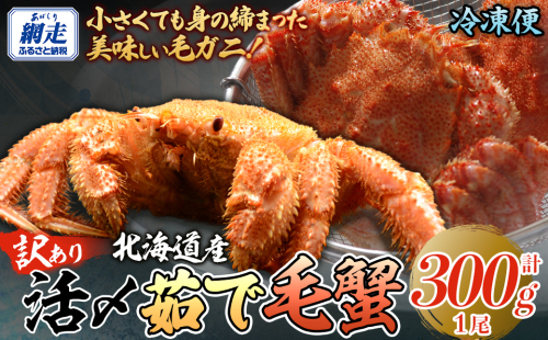 【訳あり】活〆茹で毛蟹1尾 約300g ABAO2199 2434817 - 北海道網走市