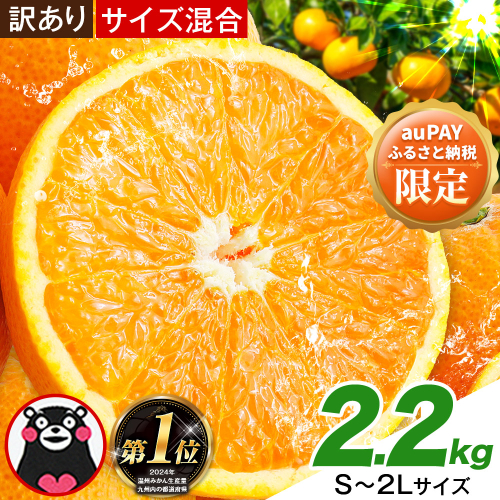 【auPAYふるさと納税限定】みかん 訳あり くまもとみかん 約2.2kg S-2Lサイズ サイズ混合 ご家庭用《7-14日以内に出荷予定(土日祝除く)》 フルーツ 秋 冬 旬 柑橘 熊本県 長洲町 熊本県産 長洲町産含む 2435702 - 熊本県長洲町