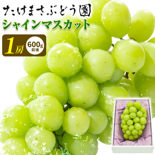 【先行予約】ぶどう シャインマスカット 1房 たけまさぶどう園 《9月上旬-10月中旬頃出荷》岡山県 浅口市 フルーツ デザート おやつ マスカット 果物 国産 岡山県産 くだもの 青果物 送料無料【配送不可地域あり】 2435806 - 岡山県浅口市