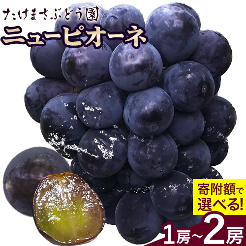 【先行予約】ぶどう ニューピオーネ 選べる 1房(約600g前後) 2房(1房650g前後) たけまさぶどう園 《7月中旬-10月上旬頃出荷》岡山県 浅口市 送料無料 フルーツ 果物 岡山県産 青果物 お取り寄せフルーツ【配送不可地域あり】(離島) 2435808 - 岡山県浅口市