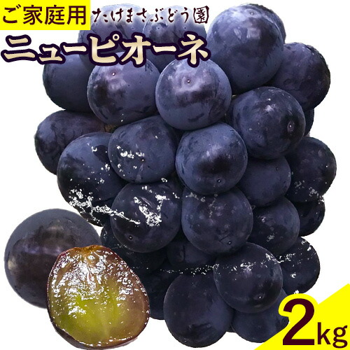 【先行予約】訳あり ぶどう ニューピオーネ ご家庭用 計2kg たけまさぶどう園 《7月下旬-10月上旬頃出荷》岡山県 浅口市 送料無料 フルーツ 果物 岡山県産 青果物 お取り寄せフルーツ【配送不可地域あり】(離島) 2435812 - 岡山県浅口市