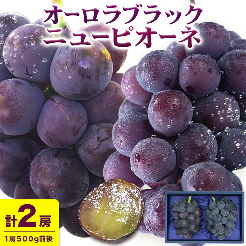 【先行予約】ニューピオーネ 1房 オーロラブラック 1房 500g 前後 たけまさぶどう園 《8月中旬-9月中旬頃出荷》岡山県 浅口市 フルーツ デザート おやつ ぶどう 果物 国産 岡山県産 くだもの 青果物 送料無料【配送不可地域あり】（離島） 2435814 - 岡山県浅口市