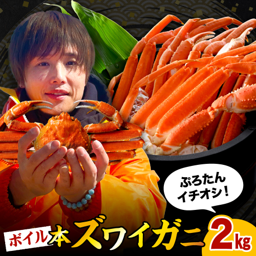 本ズワイガニ5肩（約2kg）【er018-045-b】 2435825 - 北海道えりも町