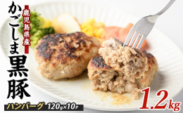 「かごしま黒豚」を贅沢に使用した、特製ハンバーグ10個セット。指宿市で６５年の歴史を持ち、質の良い肉を提供し続け人気を誇る『てぞの精肉店』で、一つ一つ丁寧に手作りしている手ごねハンバーグです。黒豚の濃