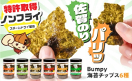 海苔チップスBumpy6種（バーベキュー/わさび塩/ガーリックトリュフ/ゆず七味/バターしょうゆ/コク旨しょうゆ）計6本 【直売所にじ】  佐賀県 白石 [IDO017]