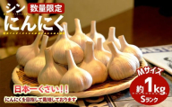 ＜7月上旬～9月中旬発送予定＞＜数量限定＞シン・にんにく(Sランク・Mサイズ約1kg)【m102-01】【トラキチ】