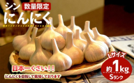 ＜7月上旬～9月中旬発送予定＞＜数量限定＞シン・にんにく(Sランク・Lサイズ約1kg)【m102-02】【トラキチ】