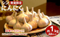 ＜7月上旬～9月中旬発送予定＞＜数量限定＞シン・にんにく(ABランク・約1kg)【m102-04】【トラキチ】