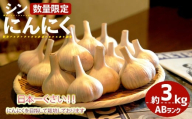 ＜7月上旬～9月中旬発送予定＞＜数量限定＞シン・にんにく(ABランク・約3kg)【m102-05】【トラキチ】