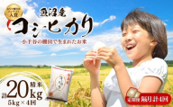令和7年産 魚沼産コシヒカリ おぢや棚田米コンテスト入賞者の栽培した棚田米 精米20kg（5kg×4回）定期便 隔月発送 | 新潟県産 コシヒカリ お米 米 おこめ こめ コメ こしひかり 白米 精米 魚沼産 ブランド米【0002-RC13DB00-02】