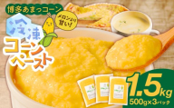 旬のとうもろこしの甘味をそのままに！博多あまっコーンの冷凍コーンペースト1.5キロ _ 博多あまっコーン ペースト 500g × 3パック 冷凍 とうもろこし 国産 メロンより甘い プレミアムコーン ふくおかエコ農産物 コーンペースト フルーツのような甘さ 離乳食 スープ 料理 スイーツ 野菜 酒見農産 お取り寄せ 福岡県 久留米市 送料無料 _Gv050