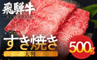 【2月お届け】【訳あり】飛騨牛 赤身スライス すきしゃぶ用 すき焼き しゃぶしゃぶ用 500g すきやき 牛肉 和牛 黒毛和牛 肉 国産 ギフト 贈り物 すきやき スキヤキ 赤身 飛騨市 冷凍発送 わけあり ワケアリ