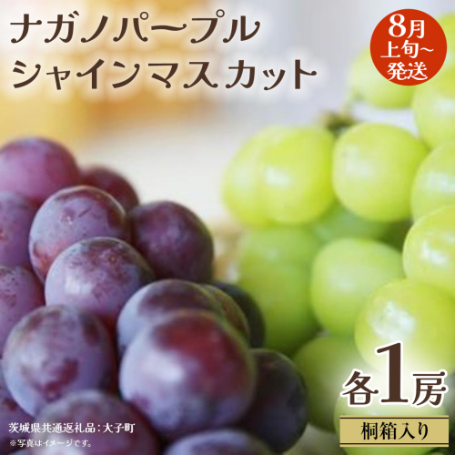 【 桐箱入り 】 ナガノパープル と シャインマスカット (各１房)【2026年8月上旬発送開始】(茨城県共通返礼品：大子町) ぶどう 葡萄 マスカット フルーツ 果物 贈答用 ギフト 贈り物 2437356 - 茨城県牛久市