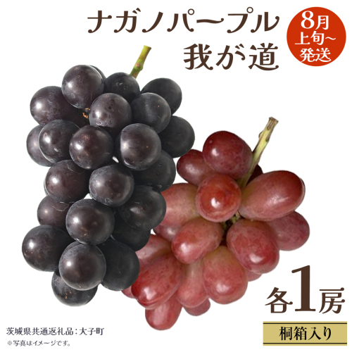 【 桐箱入り 】 ナガノパープル と 我が道 (各１房)【2026年8月上旬発送開始】(茨城県共通返礼品：大子町) ぶどう 葡萄 フルーツ 果物 贈答用 ギフト 贈り物 2437357 - 茨城県牛久市