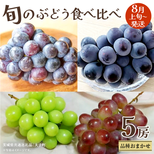 旬な ぶどう 食べ比べ 700g × 5房 【2026年8月上旬発送開始】(茨城県共通返礼品：大子町) ぶどう 葡萄 フルーツ 果物 おまかせ お楽しみ 2437361 - 茨城県牛久市