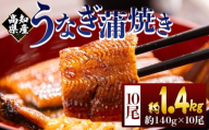 高知県産蒲焼きうなぎ 約１４０ｇ １０尾 計約１４００ｇ - 国産 鰻 ウナギ 養殖 かばやき タレ付き うな重 うな丼 たれ おつまみ スタミナ 土用の丑の日 うな丼 うな重 丼ぶり 一品 おかず うなぎ蒲焼 fb-0150