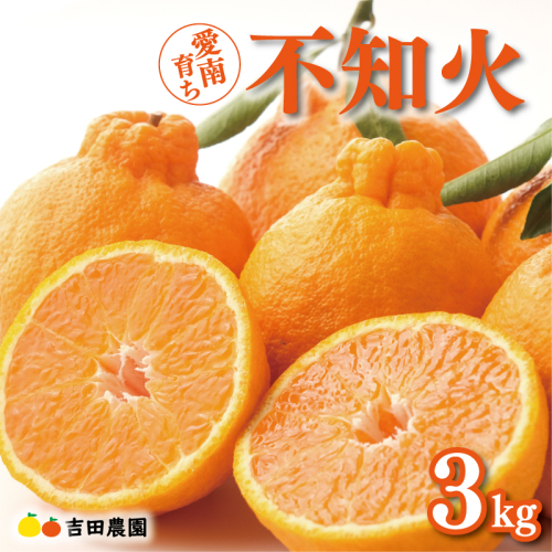 数量限定 先行予約 不知火 3kg 9000円 みかん しらぬい デコポン と 同品種 mikan 蜜柑 ミカン 産地直送 国産 農家直送 期間限定 特産品 ゼリー ジュース アイス 等に 人気 限定 甘い 果実 果肉 フルーツ 果物 柑橘 美味しい おいしい ジューシー 吉田農園 愛南町 愛媛県 2438069 - 愛媛県愛南町