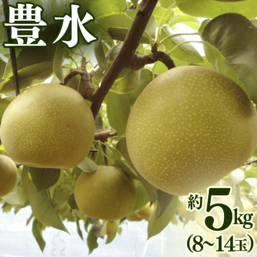 豊水 約 5kg （8～14玉） 2026年産 先行予約 梨 果物 フルーツ なし ナシ 豊水梨 くだもの デザート 茨城 [BQ020sa] 2438661 - 茨城県桜川市