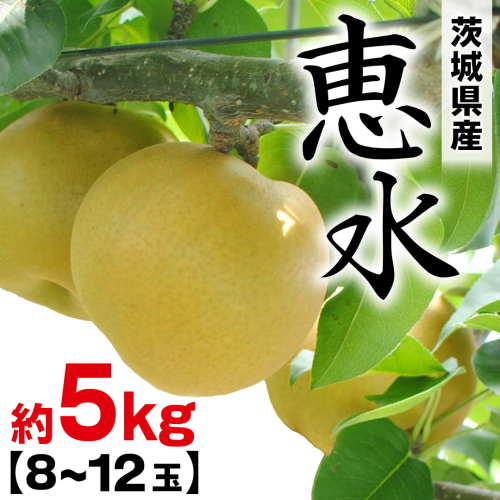 恵水 約 5kg （8～12玉） 2026年産 先行予約 梨 果物 フルーツ なし ナシ 恵水梨 くだもの デザート 茨城 [BQ021sa] 2438662 - 茨城県桜川市