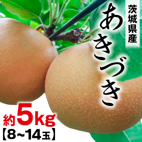 あきづき 約 5kg （8～14玉） 2026年産 先行予約 梨 果物 フルーツ なし ナシ あきずき あきづき梨 くだもの デザート 茨城 [BQ022sa] 2438663 - 茨城県桜川市