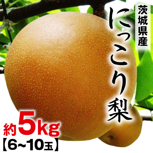 にっこり梨 約 5kg （6～10玉） 2026年産 先行予約 梨 果物 フルーツ なし ナシ にっこり くだもの デザート 茨城 [BQ023sa] 2438664 - 茨城県桜川市
