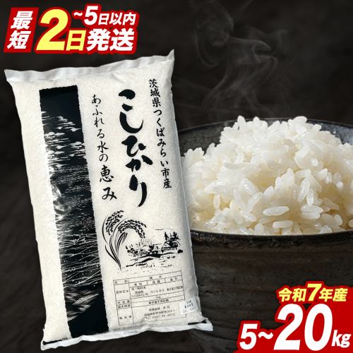 【1月上期出荷】 コシヒカリ 5kg 令和7年産精米 【 数量限定 】茨城県つくばみらい市産 米 コメ 単一米 11000 茨城県産 国産 発送 コスパ こしひかり 2438671 - 茨城県つくばみらい市