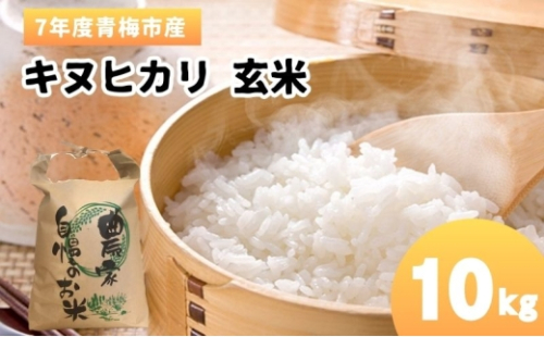 令和7年度産 玄米 10kg（5kg×2） 青梅市産 キヌヒカリ お米 米[№5714-0291] 2438724 - 東京都青梅市