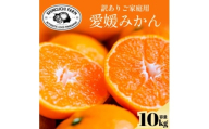 今シーズン発送開始!＜訳あり＞愛媛みかん 10kg 愛媛県産＜D70-147＞【1695552】
