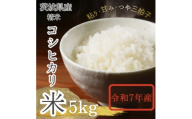＜茨城県産＞2025年新米 茨城県産 コシヒカリ米(精米)5kg【1696591】