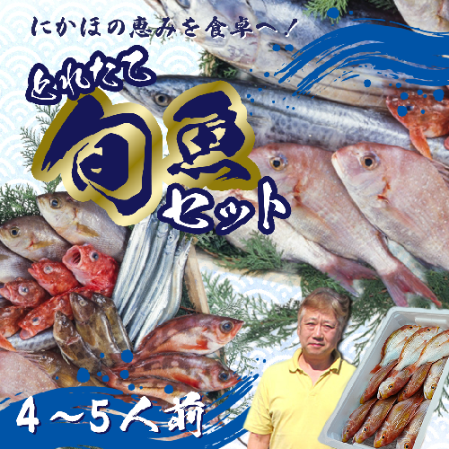 鮮魚 冷蔵 クール便「 開けたらすぐ食べられる下処理済み 海産物 4～5人前 セット 」みずしまや【 パック 詰め合わせ 海鮮セット 鮮魚ボックス 海鮮 海の幸 魚介 魚介類 刺身 切り身  秋田県 にかほ 】  2438880 - 秋田県にかほ市