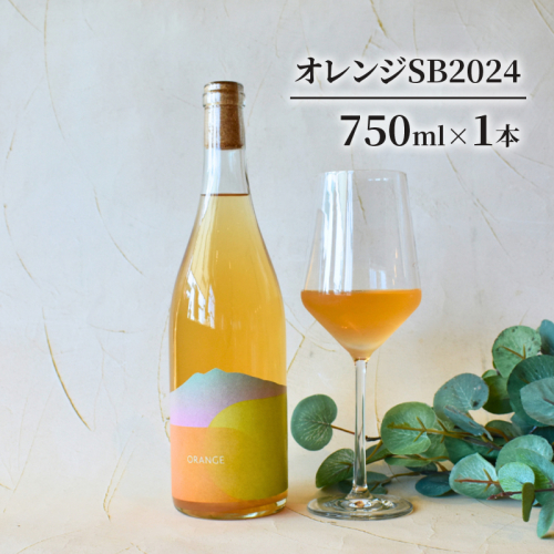 オレンジSB2024 お酒 ワイン 日本ワイン 果実酒 辛口 オレンジワイン 白ブドウ アルコール 青森県 鶴田町 2438887 - 青森県鶴田町