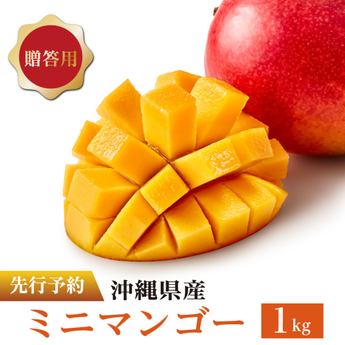 ミニマンゴー1kg 贈答用 2438918 - 沖縄県南城市