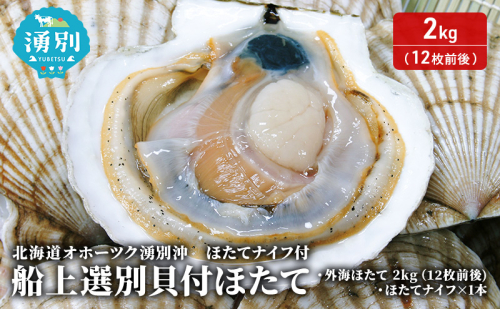 北海道 オホーツク 湧別沖 船上 選別 貝付 ほたて 2kg（12枚前後）ホタテナイフ付 帆立 刺身 海鮮 魚介 国産 殻付き 冷蔵 サロマ湖 魚貝類 砂抜き お刺身 生食 2438924 - 北海道湧別町