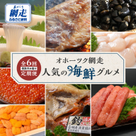 【定期便】オホーツク網走人気の海鮮グルメ 偶数月お届け定期便全6回 ABAO2204