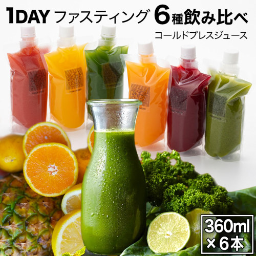 【1日ファスティングに最適】1day fasting コールドプレスジュース 6本セット 360ml×6種 酵素たっぷり 新鮮 野菜 果物使用[DZ26-NT] 2438978 - 茨城県つくばみらい市