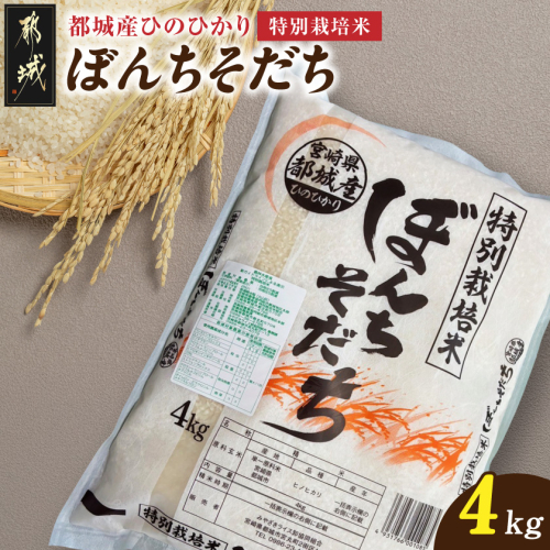 都城産ひのひかり特別栽培米「ぼんちそだち」4kg_13-N501 2439026 - 宮崎県都城市