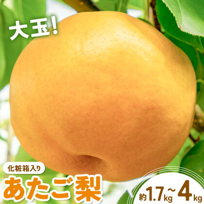 【2026年先行予約】あたご梨 選べる内容量 約1.7kg (2玉) 約4kg (3-6玉) 化粧箱入り 株式会社山博《11月下旬-12月下旬頃出荷》岡山県 笠岡市 なし 梨 ナシ 愛宕梨 果物 大玉 岡山県産 国産 送料無料【配送不可地域あり】 2439027 - 岡山県笠岡市