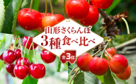 山形さくらんぼ ３種食べ比べ定期便【定期便全３回】 063-T04