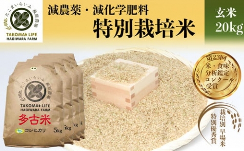 TKOC4-001 特別栽培米 多古米 コシヒカリ（玄米）20kg