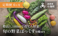 【定期便6か月】あとくら農園 旬の野菜ぼっくす9種セット| 野菜 新鮮 旬 新鮮 高原野菜 根菜 【 2026年発送 先行予約 】