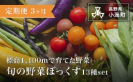 【定期便３か月】あとくら農園 旬の野菜ぼっくす13種セット| 野菜 新鮮 旬 新鮮 高原野菜 根菜 【 2026年発送 先行予約 】