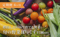 【定期便6か月】あとくら農園 旬の野菜ぼっくす13種セット| 野菜 新鮮 旬 新鮮 高原野菜 根菜 【 2026年発送 先行予約 】