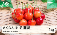【先行予約】 さくらんぼ 佐藤錦 ご家庭用 赤秀 M玉 1kg バラ詰 2026年産 令和8年産 山形県産 mm-snamx1000