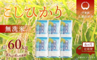 ＜6か月定期便＞ 千葉県産「コシヒカリ」無洗米 10kg×6か月連続 計60kg