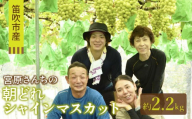 【2026年発送★先行予約】宮原さんちの朝どれシャインマスカット2.2kg 157-052-26y